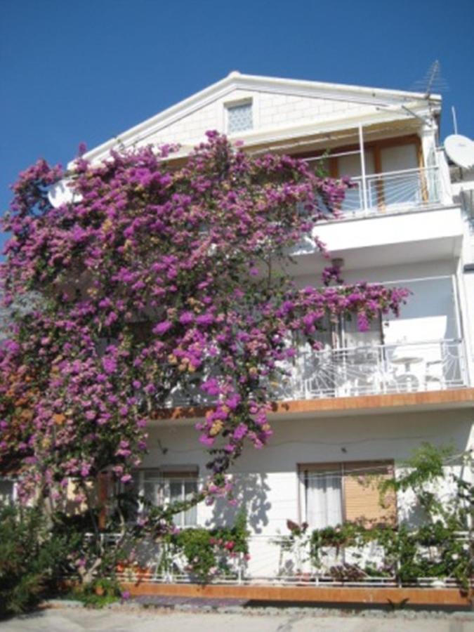 Apartman Graciela Perfect Location Gradac Gradac  Zewnętrze zdjęcie