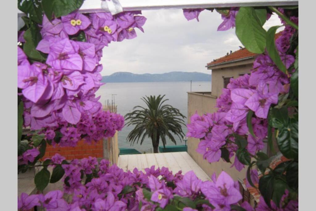 Apartman Graciela Perfect Location Gradac Gradac  Zewnętrze zdjęcie