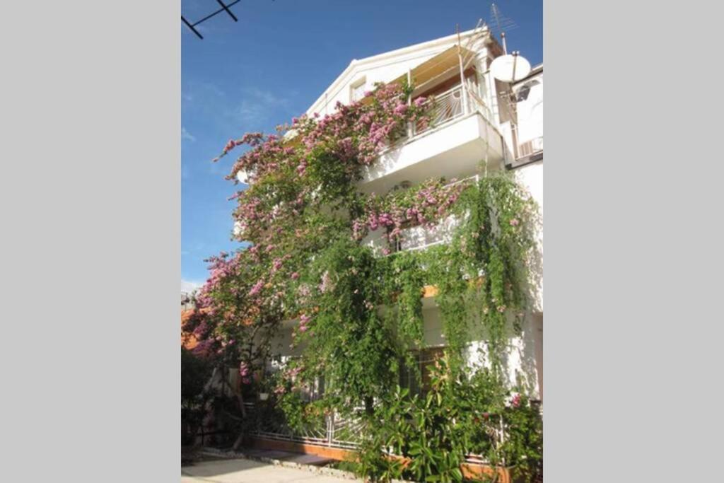 Apartman Graciela Perfect Location Gradac Gradac  Zewnętrze zdjęcie